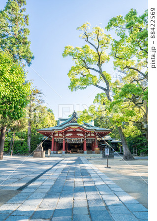 「埼玉県」越谷市・久伊豆神社 「埼玉県」越谷市・久伊豆神社 88422569