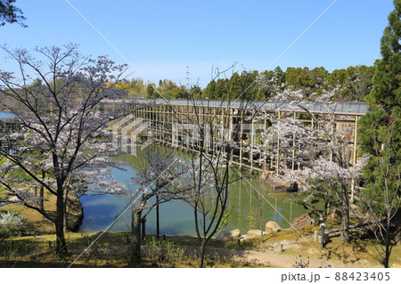 けいはんな記念公園(京都府立関西文化学術研究都市記念公園) 【京都府精華町】 けいはんな記念公園(京都府立関西文化学術研究都市記念公園) 【京都府精華町】 88423405