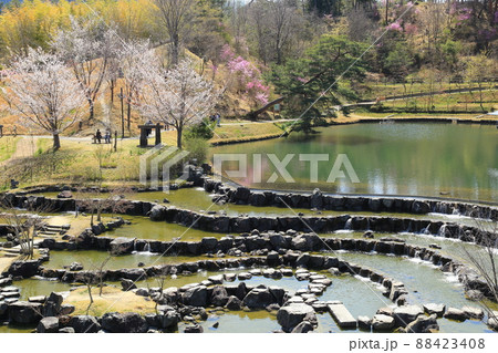 けいはんな記念公園(京都府立関西文化学術研究都市記念公園) 【京都府精華町】 けいはんな記念公園(京都府立関西文化学術研究都市記念公園) 【京都府精華町】 88423408