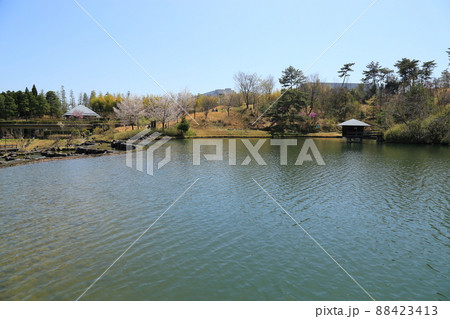 けいはんな記念公園(京都府立関西文化学術研究都市記念公園) 【京都府精華町】 けいはんな記念公園(京都府立関西文化学術研究都市記念公園) 【京都府精華町】 88423413