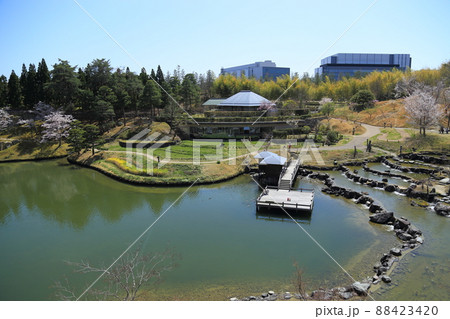 けいはんな記念公園(京都府立関西文化学術研究都市記念公園) 【京都府精華町】 けいはんな記念公園(京都府立関西文化学術研究都市記念公園) 【京都府精華町】 88423420