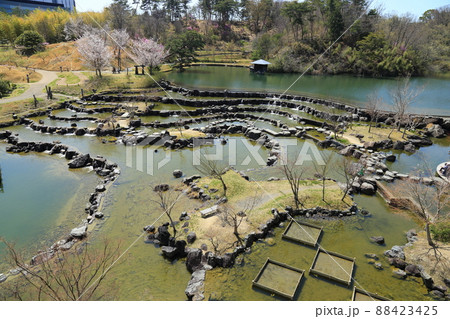けいはんな記念公園(京都府立関西文化学術研究都市記念公園) 【京都府精華町】 けいはんな記念公園(京都府立関西文化学術研究都市記念公園) 【京都府精華町】 88423425