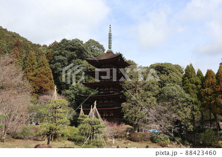 山口 瑠璃光寺の春 桜の風景 88423460