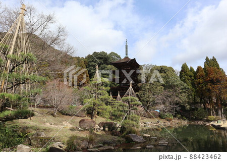 山口 瑠璃光寺の春 桜の風景 山口 瑠璃光寺の春 桜の風景 88423462