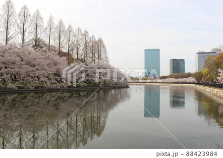 大阪城公園　大阪城外堀　大阪ビジネスパーク　桜並木　春　池　リフレクション　お花見 88423984