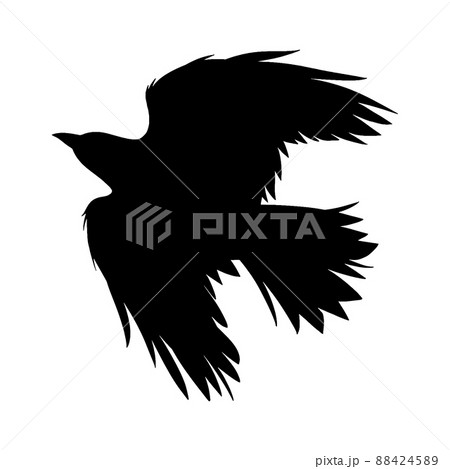 flying crow flying crow 88424589