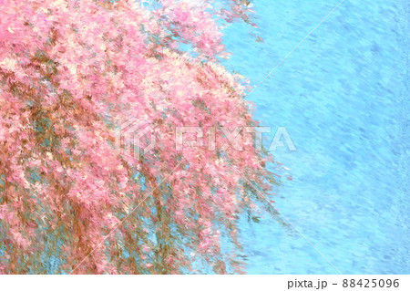 印象派風のタッチの桜のイラスト 88425096