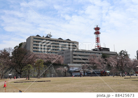中央広場から見た福井県庁(福井城跡) 中央広場から見た福井県庁(福井城跡) 88425673