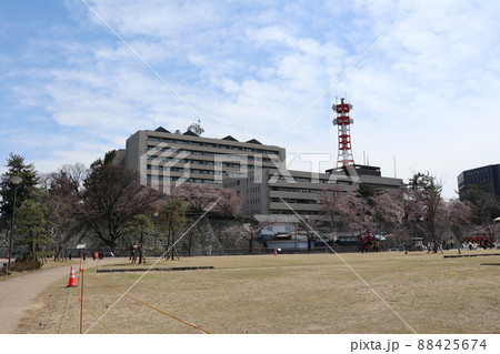 中央広場から見た福井県庁(福井城跡) 中央広場から見た福井県庁(福井城跡) 88425674
