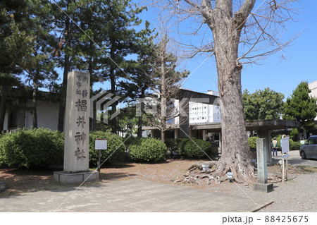 福井神社 88425675