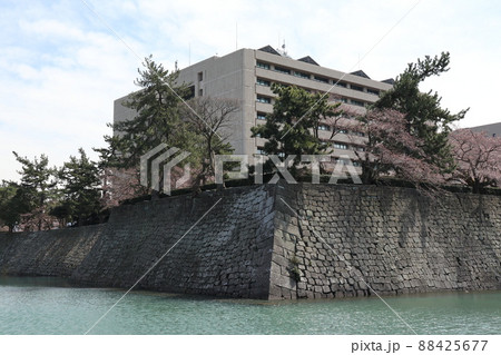中央広場から見た福井県庁（福井城跡） 88425677