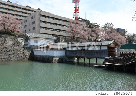 福井城跡（福井県庁） 88425679