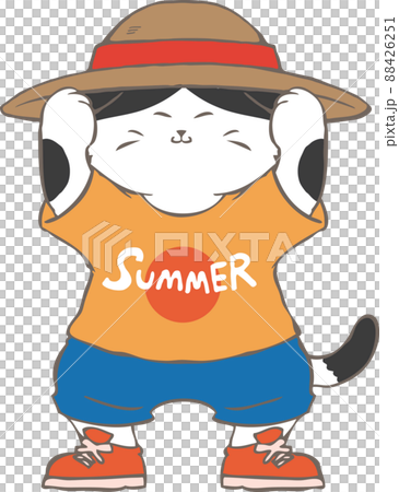 Children's cat wearing a straw hat and athletic shoes Children's cat wearing a straw hat and athletic shoes 88426251