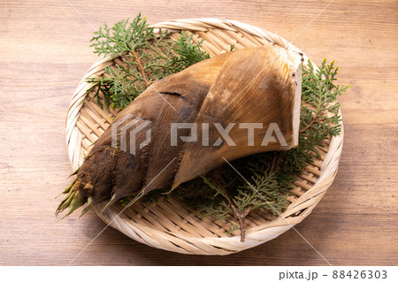 たけのこ 88426303