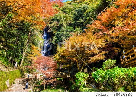 清水の滝の紅葉 【佐賀県小城市】 清水の滝の紅葉 【佐賀県小城市】 88426330