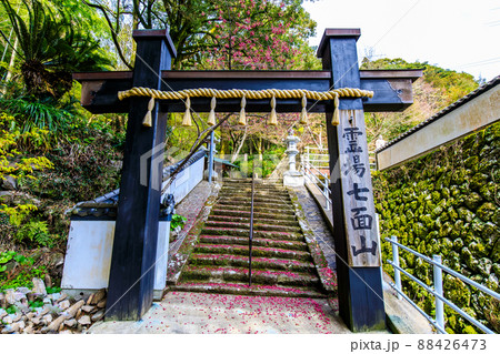 七面山妙光寺 【長崎市】 七面山妙光寺 【長崎市】 88426473