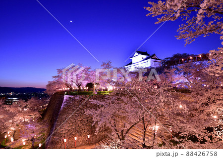 鶴山公園（津山城）の桜 88426758