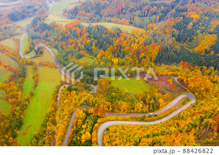 Aerial view of road between trees in autumn Aerial view of road between trees in autumn 88426822