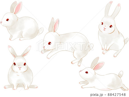 手描きのウサギのイラストセットのイラスト素材 [88427548] - PIXTA