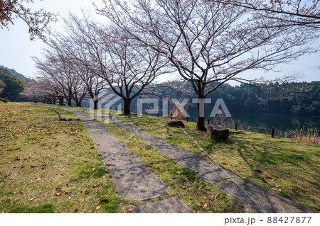 春の花さくらの咲く風景 春の花さくらの咲く風景 88427877