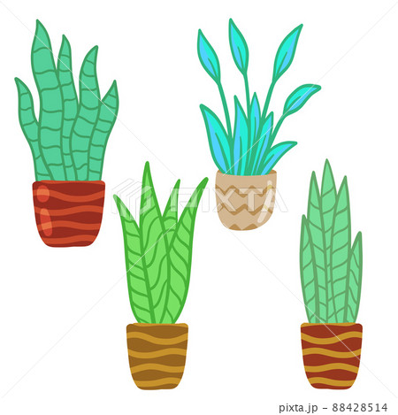 Set of Potted plant. Homemade Green leaves of houseplant. Gardening and botany. Brown pot and House decoration. Flat illustration 88428514