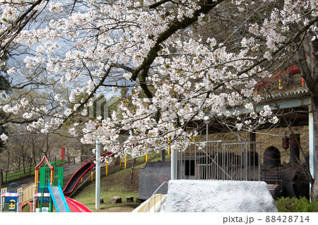 桜咲く嘉多山公園 桜咲く嘉多山公園 88428714