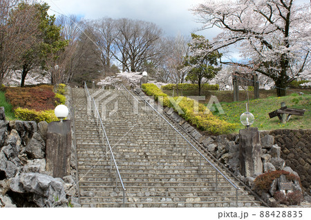 桜咲く嘉多山公園 桜咲く嘉多山公園 88428835