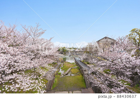京都市 蹴上インクライン　満開の桜 88430637