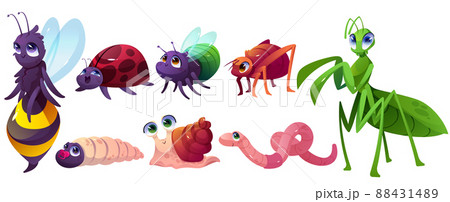 Cute cartoon insects characters snail, bee or bugs 88431489