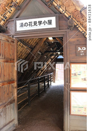 明礬温泉 明礬温泉 88431638