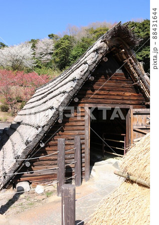 明礬温泉 明礬温泉 88431644