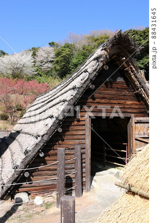 明礬温泉 明礬温泉 88431645