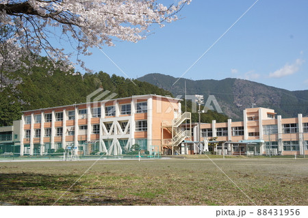 桜と中学校 桜と中学校 88431956