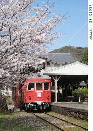 旧谷汲駅のモ755と桜 旧谷汲駅のモ755と桜 88431957