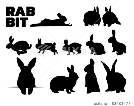 Rabbit Silhouette Set Rabbit Silhouette Set 88433477
