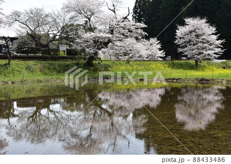 小湊鉄道 88433486