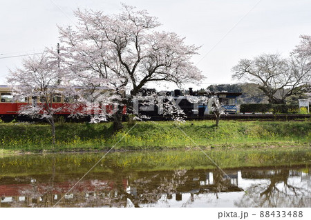 小湊鉄道 88433488