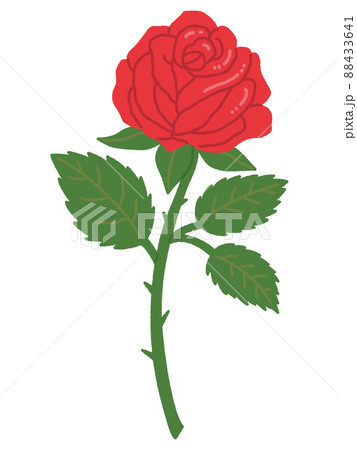 バラ・花のイラスト素材 [88433641] - PIXTA