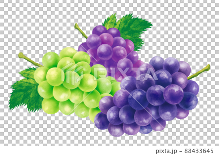 Grape Grape 03 Grape Grape 03 88433645