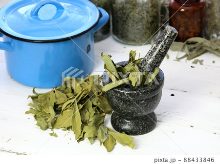 Dried lovage, famous culinary herb, lat. Levisticum officinale. 88433846