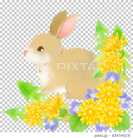 Illustration of a rabbit surrounded by dandelion flowers 88434029