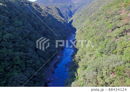 屋久島　松峯大橋から安房川の上流を望む 88434124