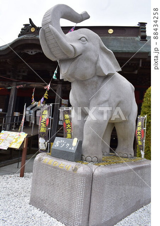 長福寿寺 吉ゾウくん 結愛ちゃんの写真素材 [88434258] - PIXTA