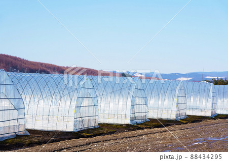 ビニールハウス ビニールハウス 88434295