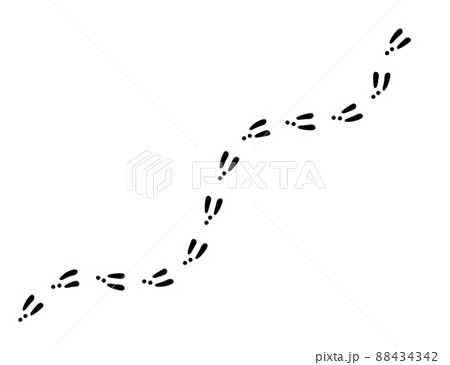 Rabbit or hare footprint trail. Bunny foot prints on snow. Rabbit paw steps. Hare steps track. Vector illustration isolated on white background in flat style 88434342