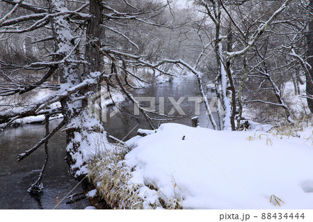 奥日光真冬の情景 奥日光真冬の情景 88434444
