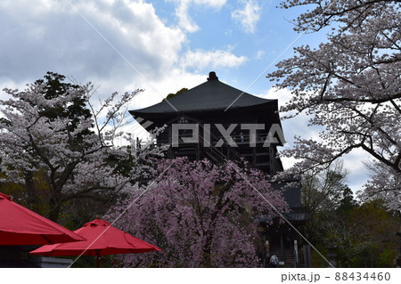 笠森観音 笠森観音 88434460