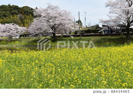 小湊鉄道 小湊鉄道 88434465