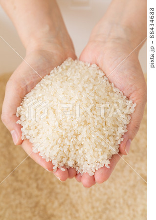 お米を持つミドル女性の手 お米を持つミドル女性の手 88434688