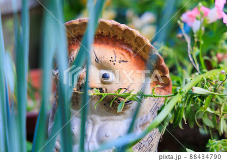 狸の置物。森の中イメージ 88434790